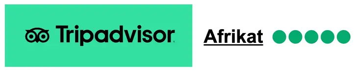 tripadvisor